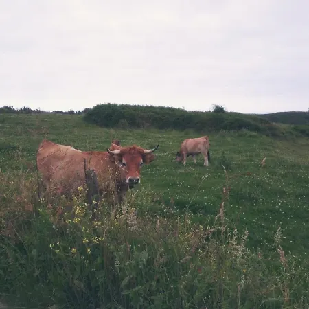 Casa La Tablia, Un Familiar Disfrutar De Cantabria Casa vacanze