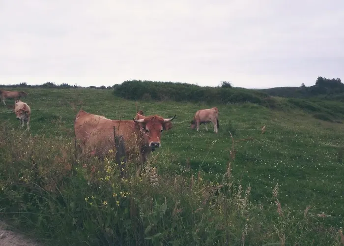 Casa La Tablia, Un Familiar Disfrutar De Cantabria Feriehus